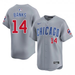Classic Ernie Banks #14 Chicago Men Baseball Jersey | Gray Wrigleyville Pride Edition he361694