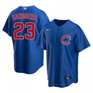 #23 Ryne Sandberg MLB Men Baseball Jersey | Cubs Royal Fan Gear SQ6gxl69