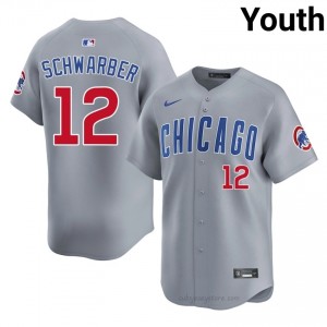Classic Kyle Schwarber #12 Chicago Youth Baseball Jersey | Gray Wrigleyville Pride Edition BRj6s025