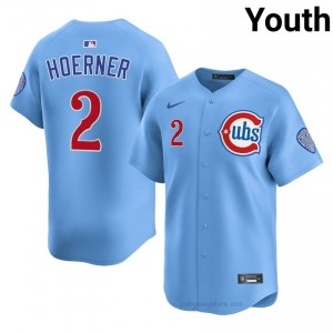 Gameday Nico Hoerner #2 Chicago Youth Baseball Jersey | Blue Wrigleyville Pride Edition 17g76A60